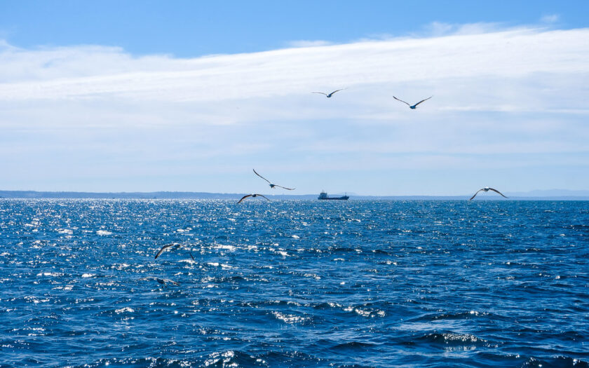 Meer
